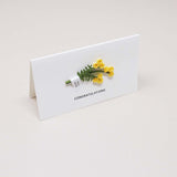 Message Card - Congratulations (Mimosa Flower)