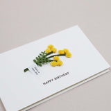 Message Card - Happy Birthday (Mimosa Flower)