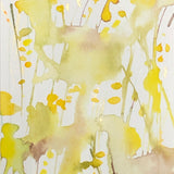 TOKYO KODO First Collection - MIMOSA (50-pack)